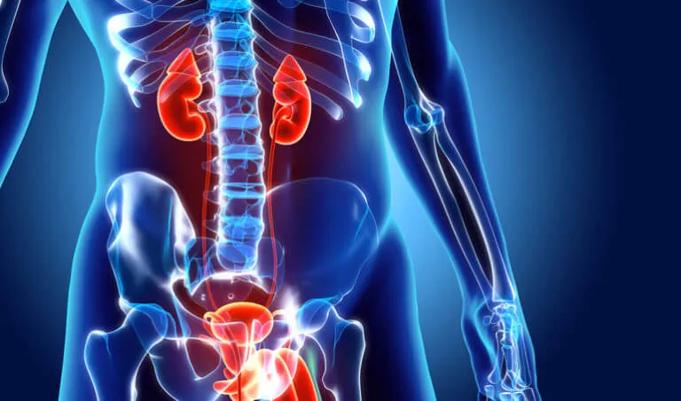 Exercises That Help Improve Men’s Prostate Health