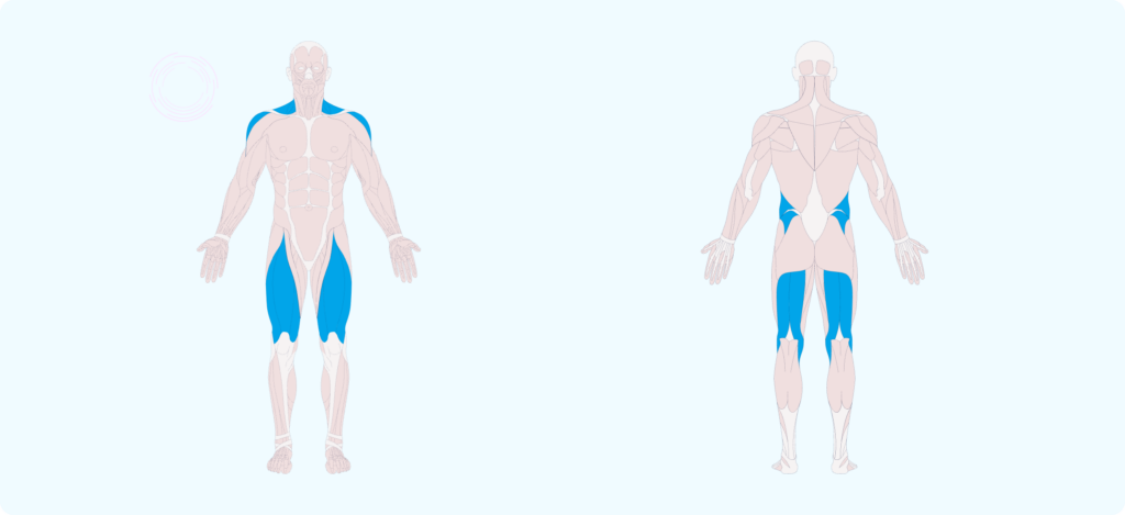 Targeted body part for the Table Pose Workout.