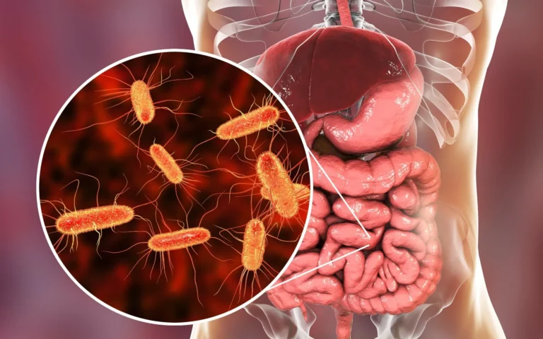 Your Gut Health