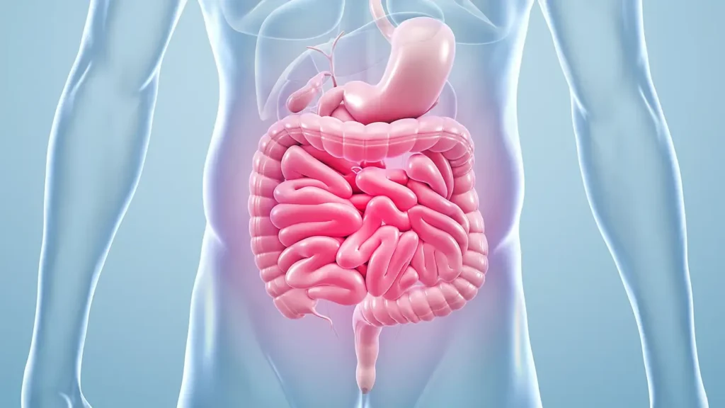 How Bananas Fix digestive health