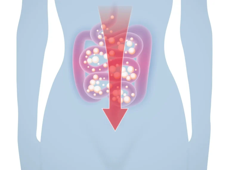 How Fat Helps in Nutrient Absorption