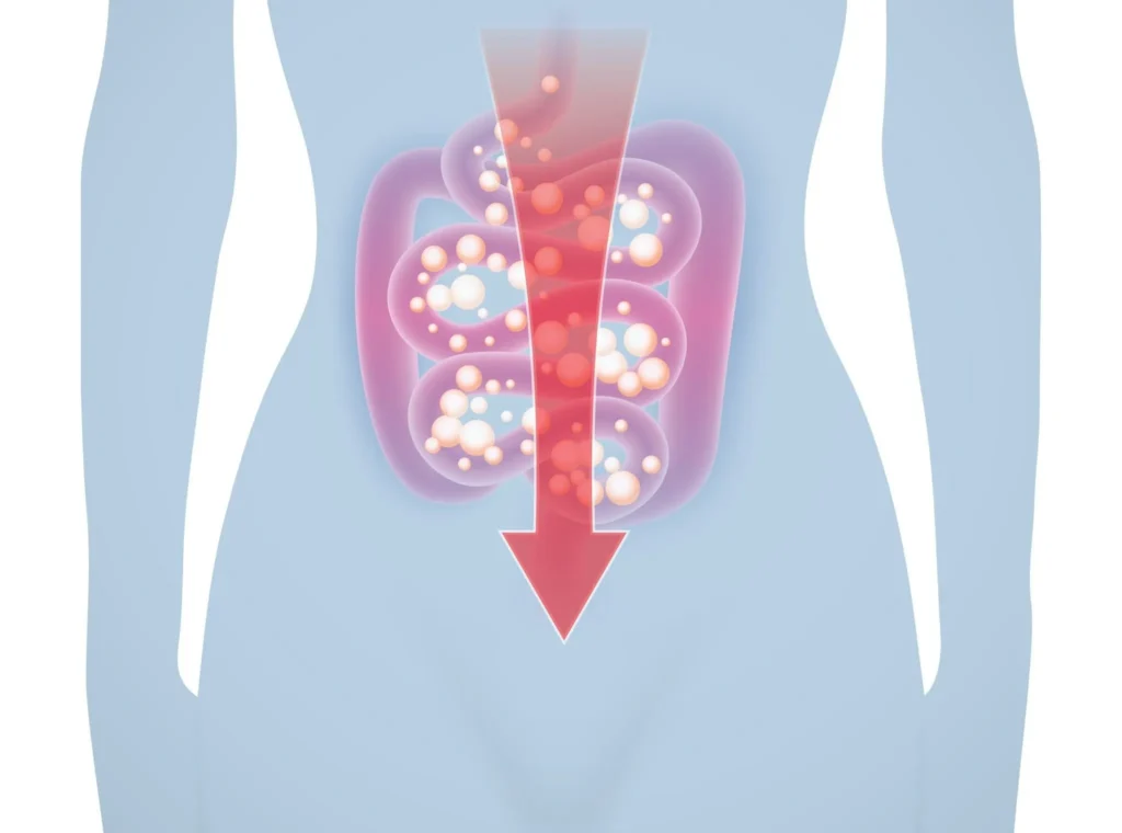 How Fat Helps in Nutrient Absorption