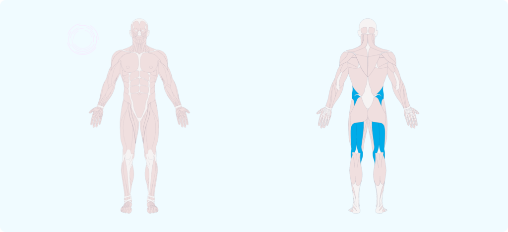How to do a Seated Forward Stretch