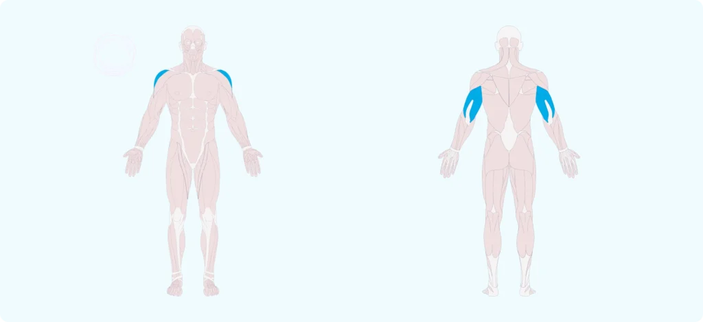 How to do Lying Triceps Extension (Skull Crushers)