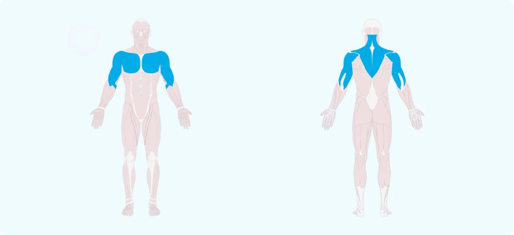 How to do Indian push ups exercise