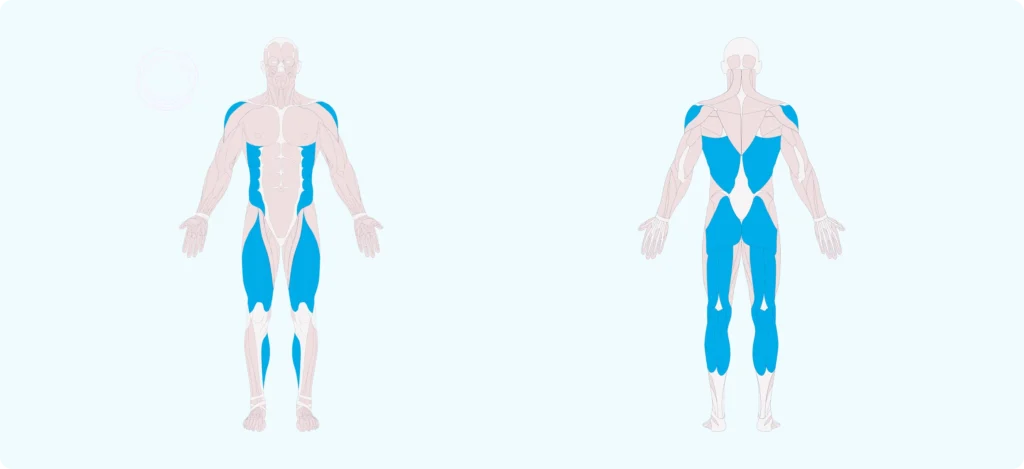 How to do Low Jacks Exercise