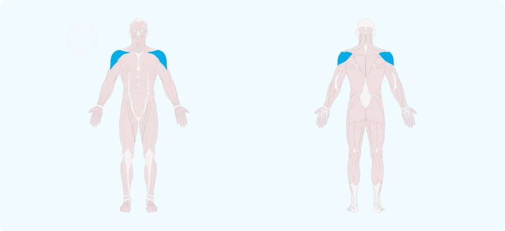 How to do a V Deltoid Stretch Exercise